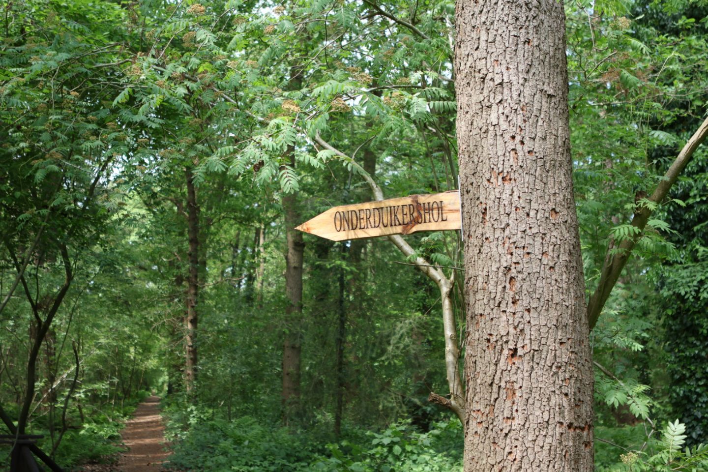 #10 Millingen aan de Rijn  | Groenlo | Groenlo | Groenlo | Nieuwlande | Nieuwlande | Nieuwlande