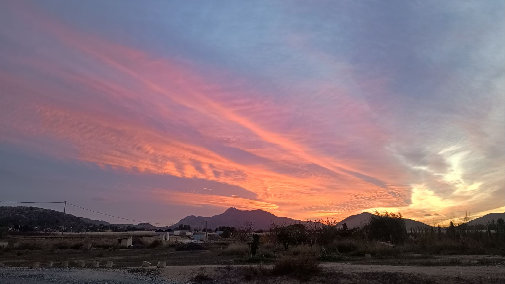 #31 Cabasse | La Palme | Cabrera de Mar | Almassora | Catral | Het Kartonnen Huis – Aspe | Aspe