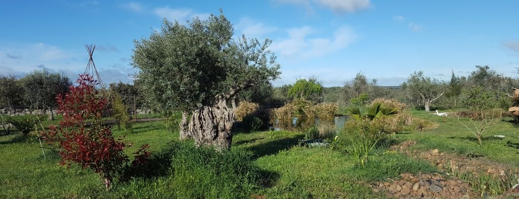 #4 Murcia | El Rocio  | Zafra | Badajoz | Badajoz | Cáceres | Corval