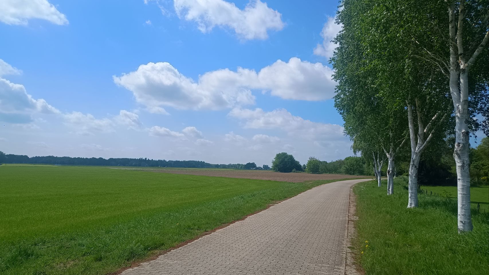 #75 Wehl – lekker niets doen..